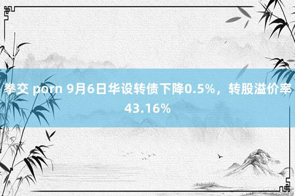 拳交 porn 9月6日华设转债下降0.5%，转股溢价率43.16%