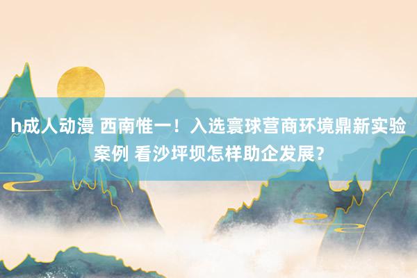 h成人动漫 西南惟一！入选寰球营商环境鼎新实验案例 看沙坪坝怎样助企发展？