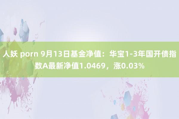 人妖 porn 9月13日基金净值：华宝1-3年国开债指数A最新净值1.0469，涨0.03%