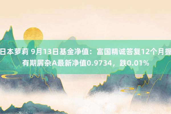 日本萝莉 9月13日基金净值：富国精诚答复12个月握有期羼杂A最新净值0.9734，跌0.01%