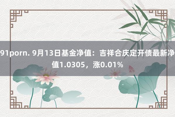 91porn. 9月13日基金净值：吉祥合庆定开债最新净值1.0305，涨0.01%