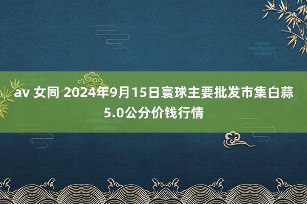 av 女同 2024年9月15日寰球主要批发市集白蒜5.0公分价钱行情