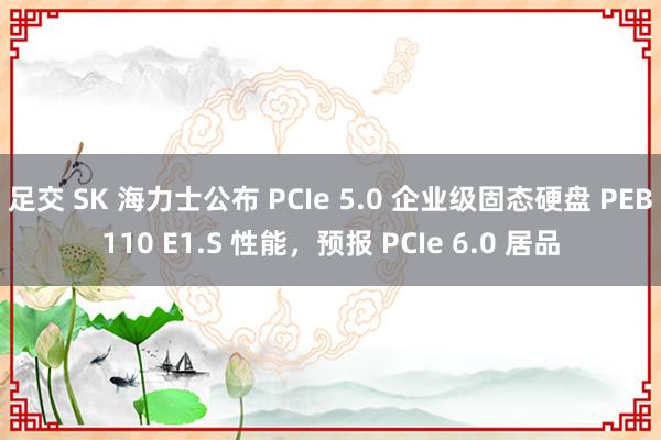 足交 SK 海力士公布 PCIe 5.0 企业级固态硬盘 PEB110 E1.S 性能，预报 PCIe 6.0 居品