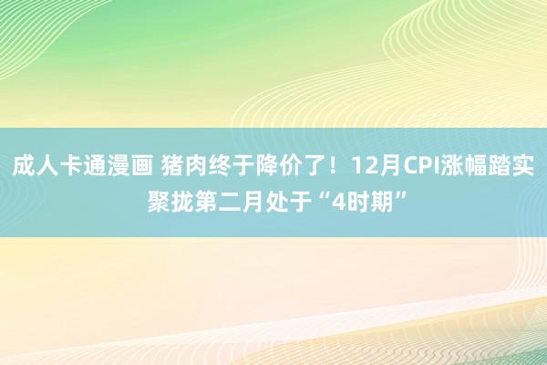 成人卡通漫画 猪肉终于降价了！12月CPI涨幅踏实 聚拢第二月处于“4时期”