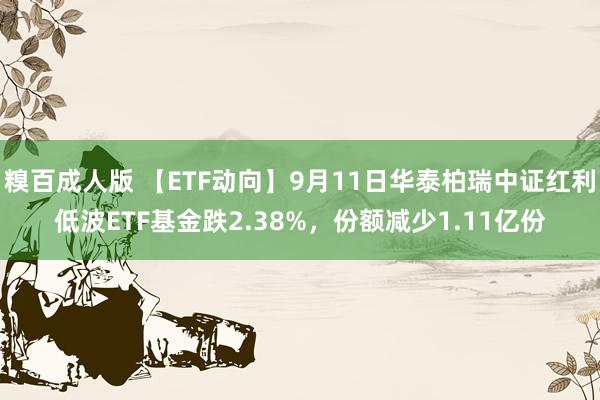 糗百成人版 【ETF动向】9月11日华泰柏瑞中证红利低波ETF基金跌2.38%，份额减少1.11亿份