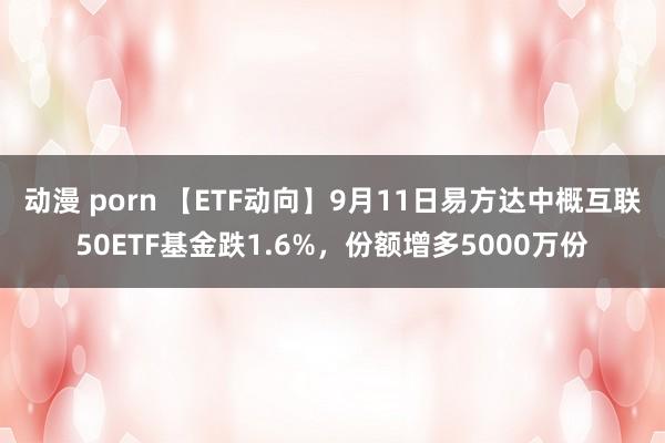 动漫 porn 【ETF动向】9月11日易方达中概互联50ETF基金跌1.6%，份额增多5000万份