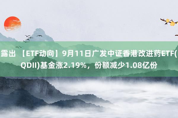 露出 【ETF动向】9月11日广发中证香港改进药ETF(QDII)基金涨2.19%，份额减少1.08亿份