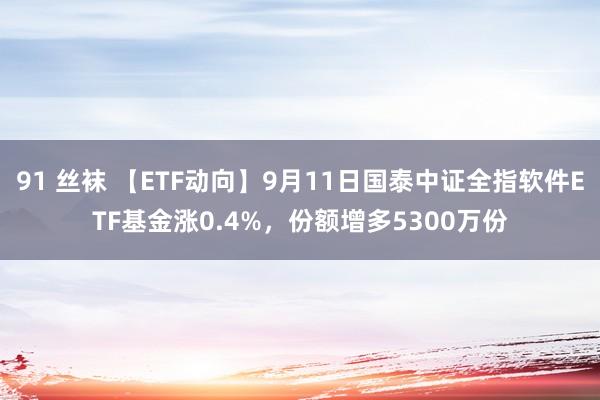 91 丝袜 【ETF动向】9月11日国泰中证全指软件ETF基金涨0.4%，份额增多5300万份