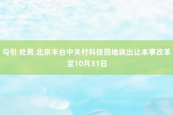 勾引 处男 北京丰台中关村科技园地块出让本事改革至10月31日