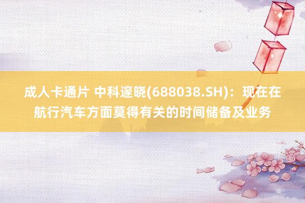 成人卡通片 中科邃晓(688038.SH)：现在在航行汽车方面莫得有关的时间储备及业务