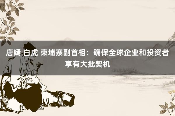 唐嫣 白虎 柬埔寨副首相：确保全球企业和投资者享有大批契机