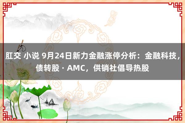 肛交 小说 9月24日新力金融涨停分析：金融科技，债转股 · AMC，供销社倡导热股