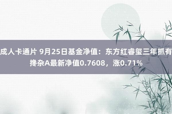 成人卡通片 9月25日基金净值：东方红睿玺三年抓有搀杂A最新净值0.7608，涨0.71%