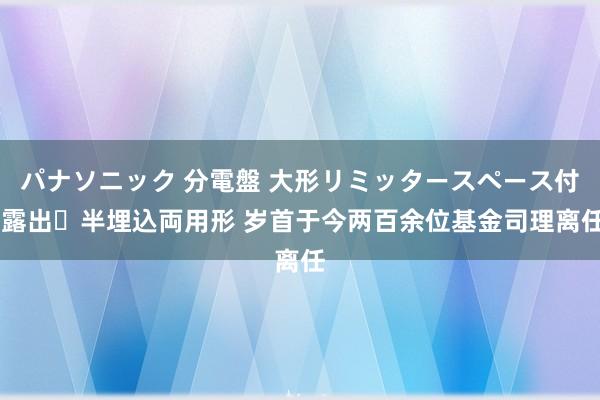 パナソニック 分電盤 大形リミッタースペース付 露出・半埋込両用形 岁首于今两百余位基金司理离任