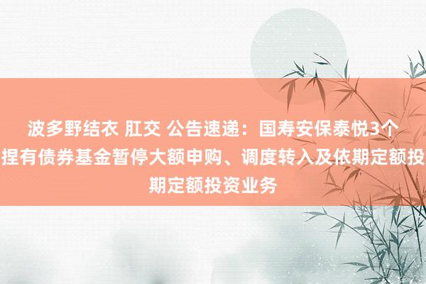 波多野结衣 肛交 公告速递：国寿安保泰悦3个月逶迤捏有债券基金暂停大额申购、调度转入及依期定额投资业务