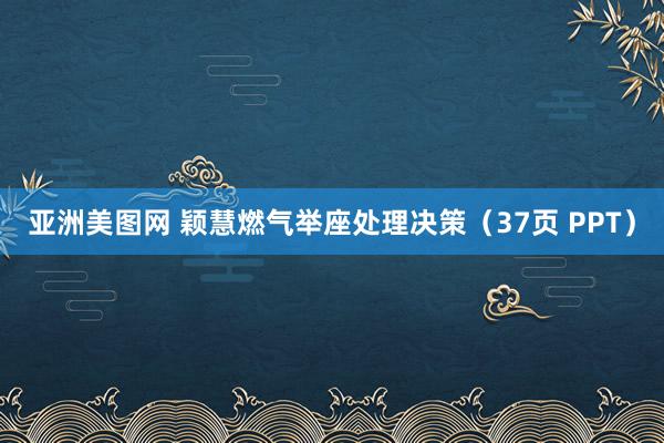 亚洲美图网 颖慧燃气举座处理决策（37页 PPT）