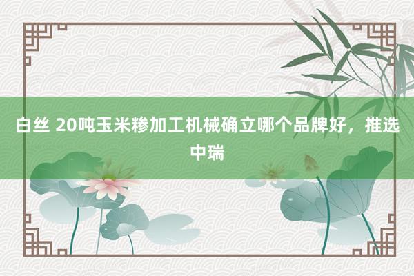 白丝 20吨玉米糁加工机械确立哪个品牌好，推选中瑞