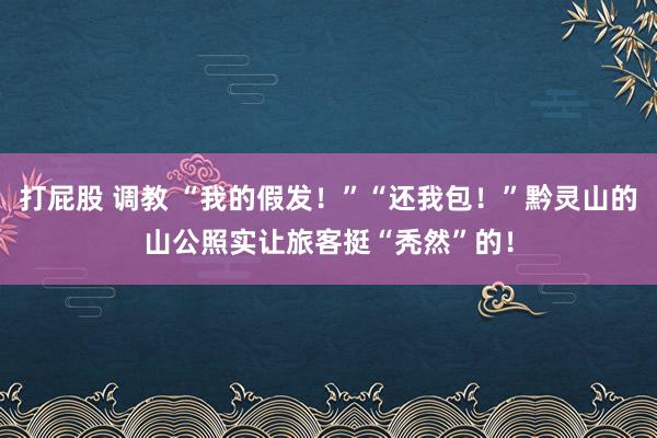 打屁股 调教 “我的假发！”“还我包！”黔灵山的山公照实让旅客挺“秃然”的！