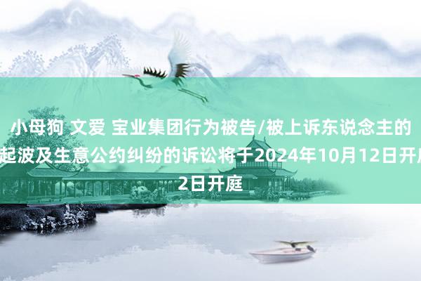 小母狗 文爱 宝业集团行为被告/被上诉东说念主的1起波及生意公约纠纷的诉讼将于2024年10月12日开庭