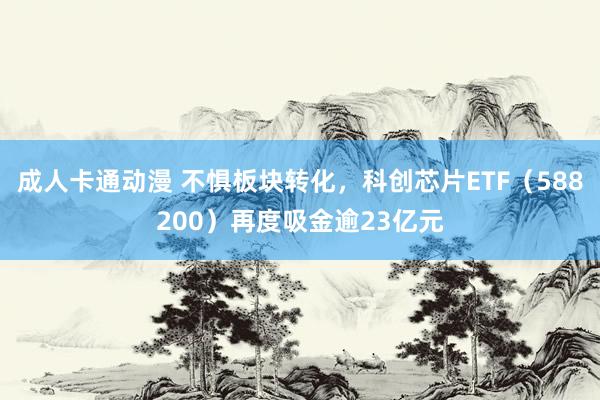 成人卡通动漫 不惧板块转化，科创芯片ETF（588200）再度吸金逾23亿元