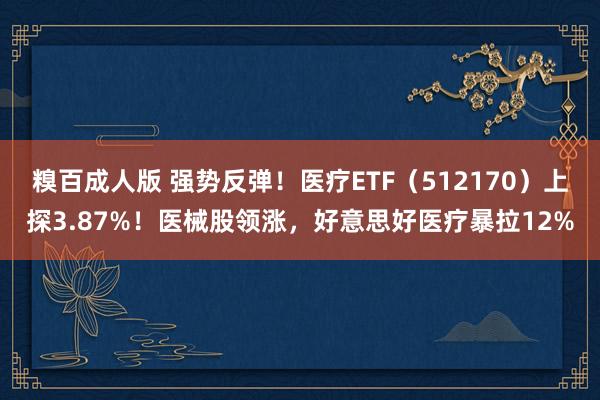 糗百成人版 强势反弹！医疗ETF（512170）上探3.87%！医械股领涨，好意思好医疗暴拉12%