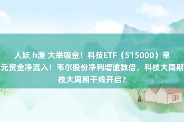 人妖 h漫 大举吸金！科技ETF（515000）单日获3.5亿元资金净流入！韦尔股份净利增逾数倍，科技大周期干线开启？