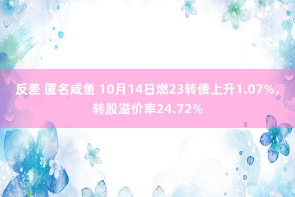 反差 匿名咸鱼 10月14日燃23转债上升1.07%，转股溢价率24.72%