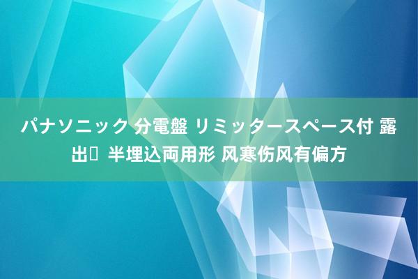 パナソニック 分電盤 リミッタースペース付 露出・半埋込両用形 风寒伤风有偏方