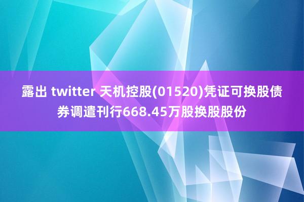 露出 twitter 天机控股(01520)凭证可换股债券调遣刊行668.45万股换股股份