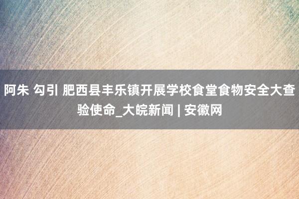 阿朱 勾引 肥西县丰乐镇开展学校食堂食物安全大查验使命_大皖新闻 | 安徽网