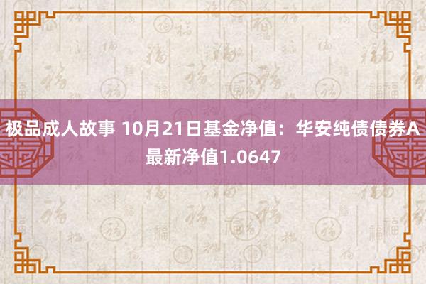 极品成人故事 10月21日基金净值：华安纯债债券A最新净值1.0647