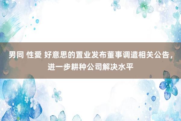 男同 性愛 好意思的置业发布董事调遣相关公告，进一步耕种公司解决水平