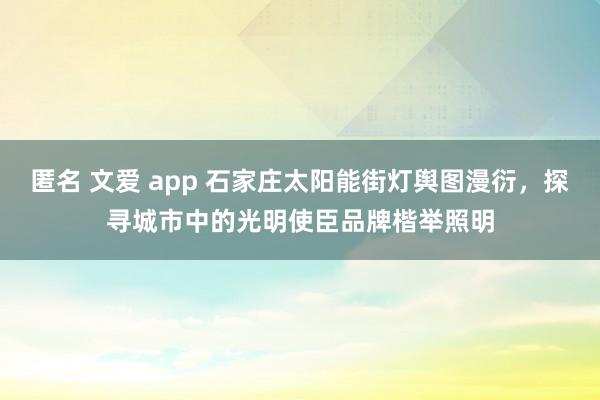 匿名 文爱 app 石家庄太阳能街灯舆图漫衍，探寻城市中的光明使臣品牌楷举照明