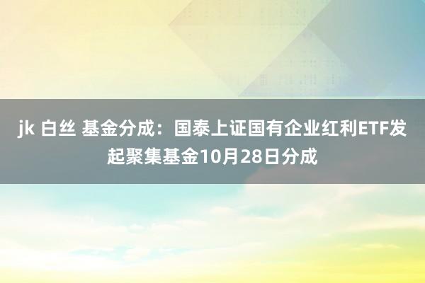 jk 白丝 基金分成：国泰上证国有企业红利ETF发起聚集基金10月28日分成