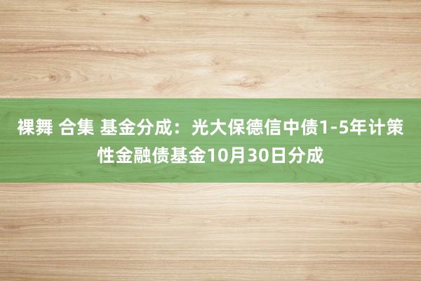 裸舞 合集 基金分成：光大保德信中债1-5年计策性金融债基金10月30日分成