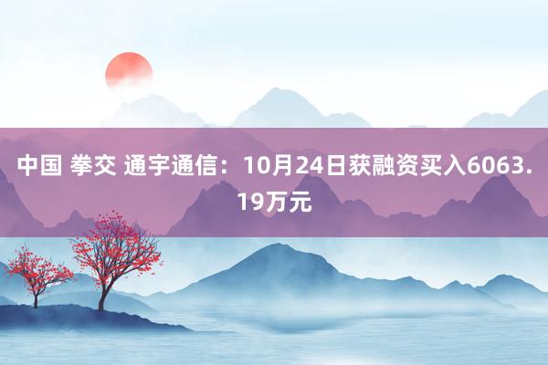 中国 拳交 通宇通信：10月24日获融资买入6063.19万元