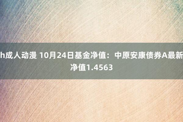 h成人动漫 10月24日基金净值：中原安康债券A最新净值1.4563