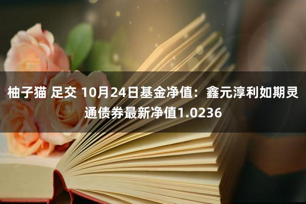 柚子猫 足交 10月24日基金净值：鑫元淳利如期灵通债券最新净值1.0236