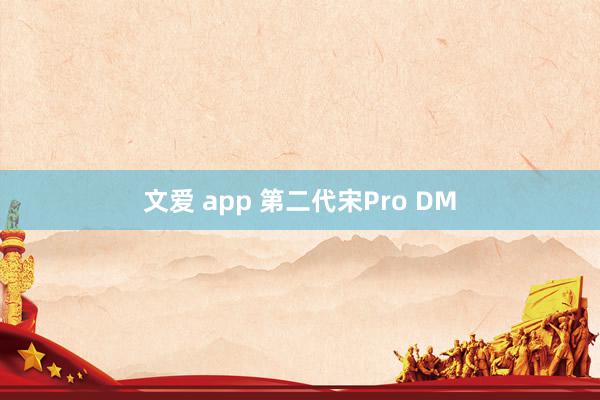 文爱 app 第二代宋Pro DM