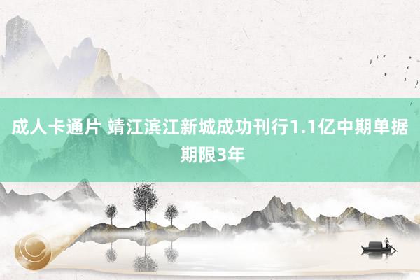 成人卡通片 靖江滨江新城成功刊行1.1亿中期单据 期限3年