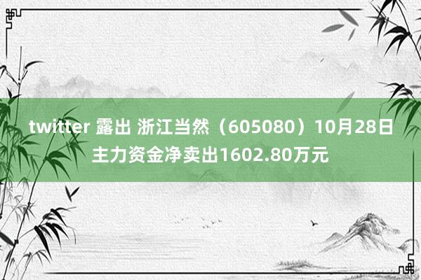 twitter 露出 浙江当然（605080）10月28日主力资金净卖出1602.80万元