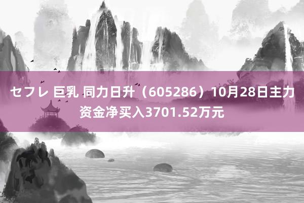 セフレ 巨乳 同力日升（605286）10月28日主力资金净买入3701.52万元