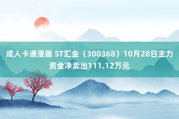 成人卡通漫画 ST汇金（300368）10月28日主力资金净卖出111.12万元