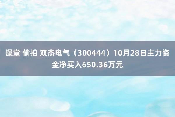 澡堂 偷拍 双杰电气（300444）10月28日主力资金净买入650.36万元