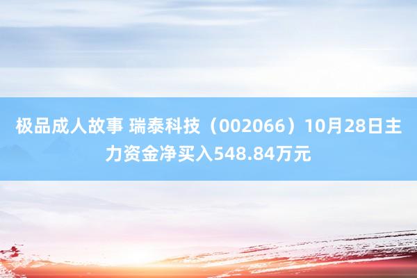 极品成人故事 瑞泰科技（002066）10月28日主力资金净买入548.84万元