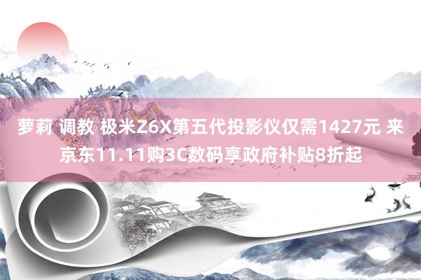 萝莉 调教 极米Z6X第五代投影仪仅需1427元 来京东11.11购3C数码享政府补贴8折起