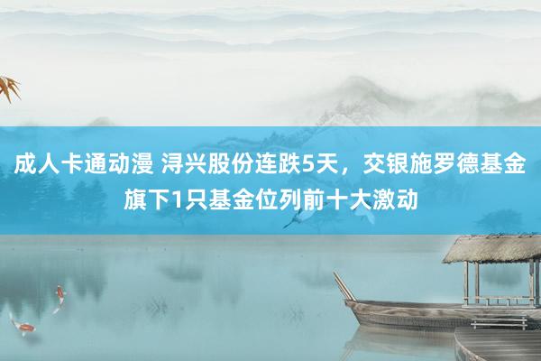 成人卡通动漫 浔兴股份连跌5天，交银施罗德基金旗下1只基金位列前十大激动