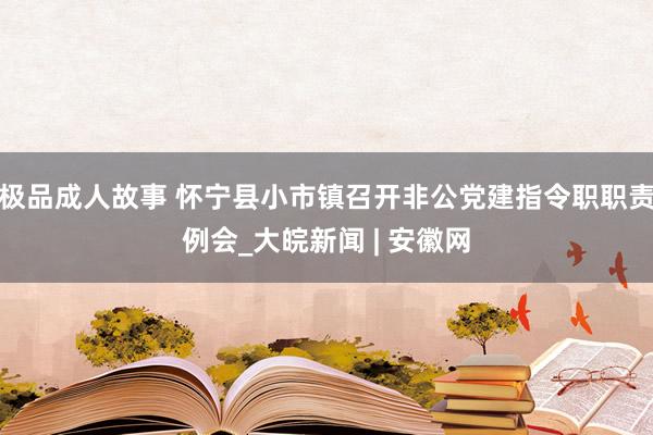 极品成人故事 怀宁县小市镇召开非公党建指令职职责例会_大皖新闻 | 安徽网