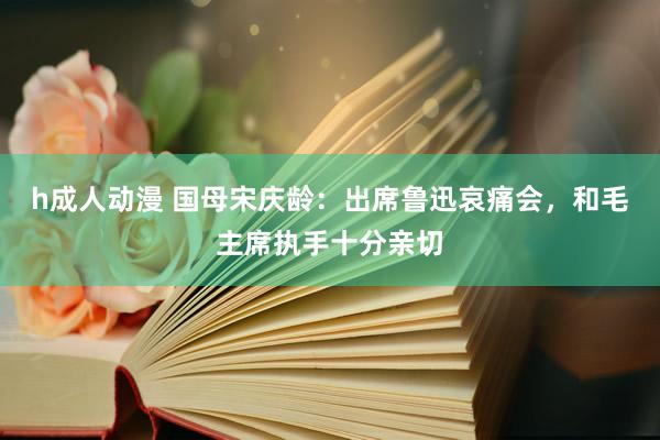 h成人动漫 国母宋庆龄：出席鲁迅哀痛会，和毛主席执手十分亲切