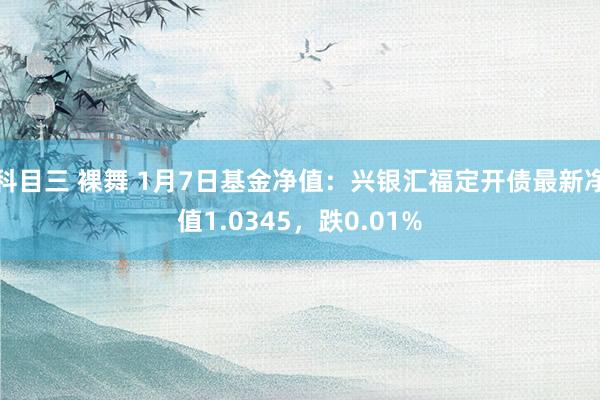 科目三 裸舞 1月7日基金净值：兴银汇福定开债最新净值1.0345，跌0.01%